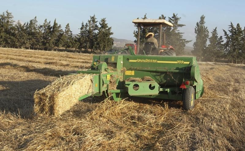 المغرب يشتري 132 ألف طن قمحا لينا من السوق المحلية